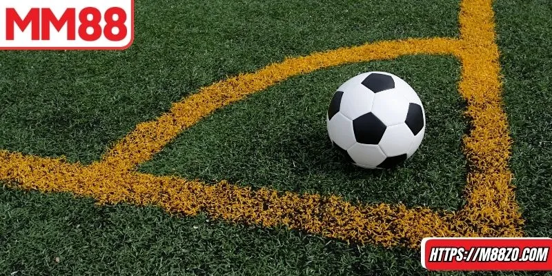 Rất nhiều người quan tâm đối với việc soi kèo bóng đá