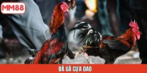 da-ga-cua-dao