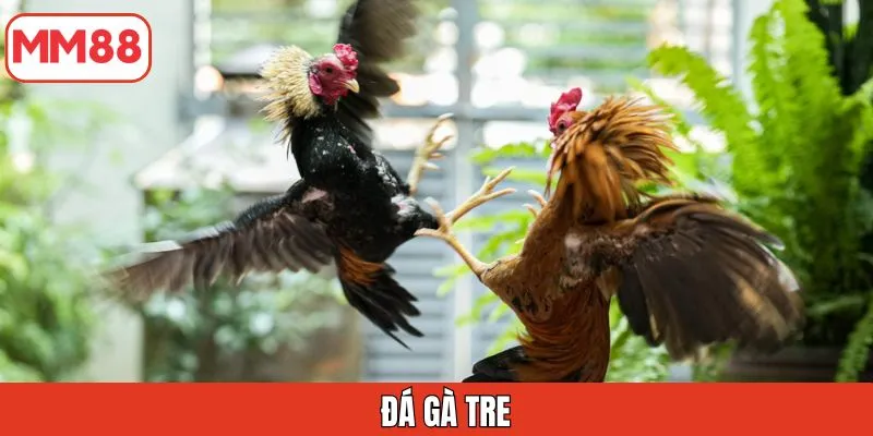 da-ga-tre