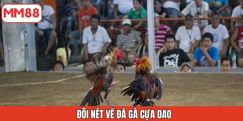 doi-net-ve-da-ga-cua-dao