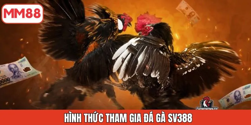 hinh-thuc-tham-gia-da-ga-sv388