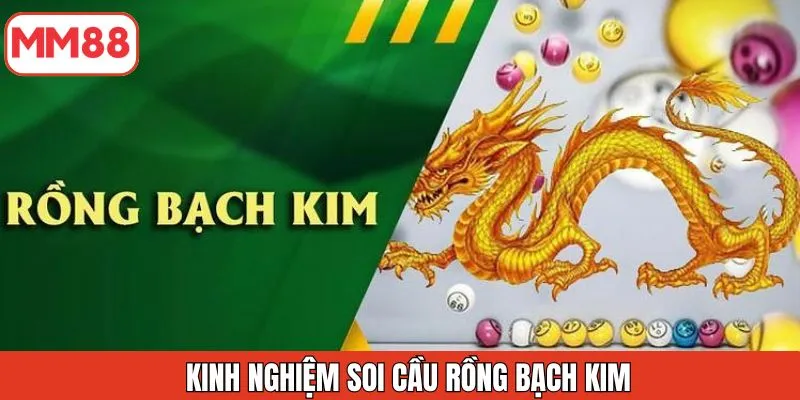 kinh-nghiem-de-soi-cau-rong-bach-kim