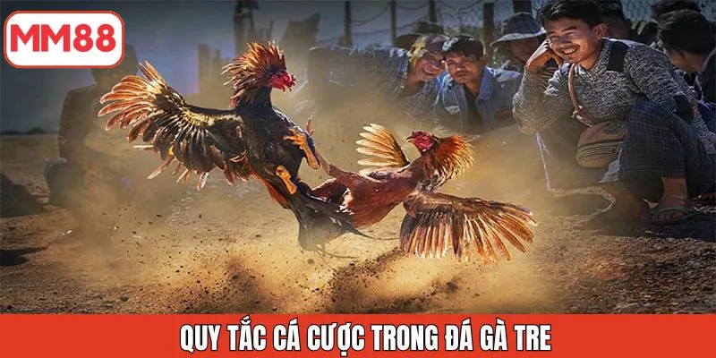 quy-tac-ca-cuoc-trong-da-ga-tre