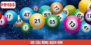 soi-cau-rong-bach-kim