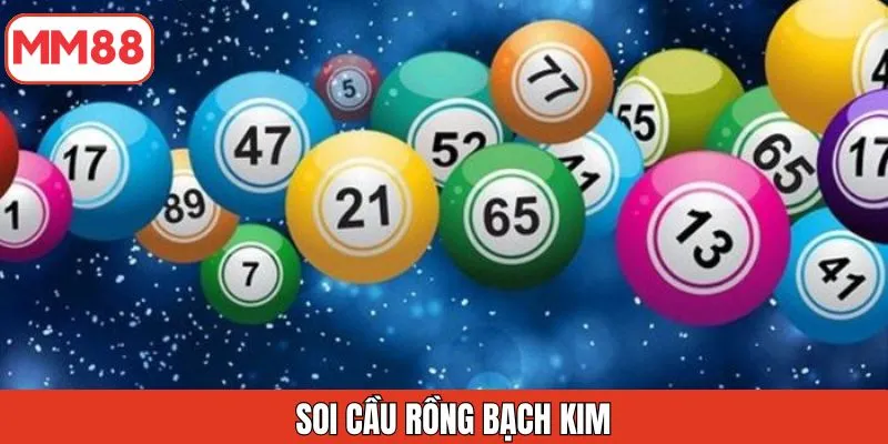 soi-cau-rong-bach-kim