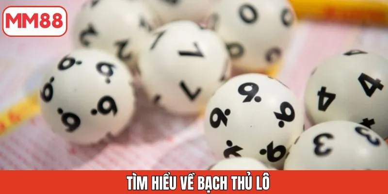 tim-hieu-ve-bach-thu-lo