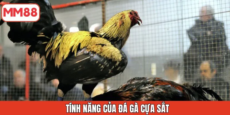 tinh-nang-cua-da-ga-cua-sat