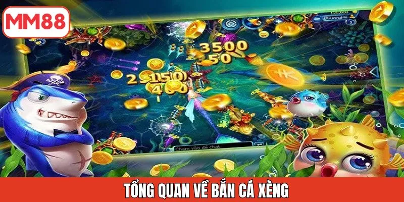 tong-quan-ve-ban-ca-xeng