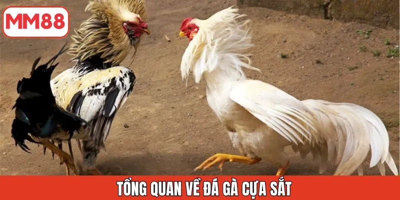 tong-quan-ve-da-ga-cua-sat