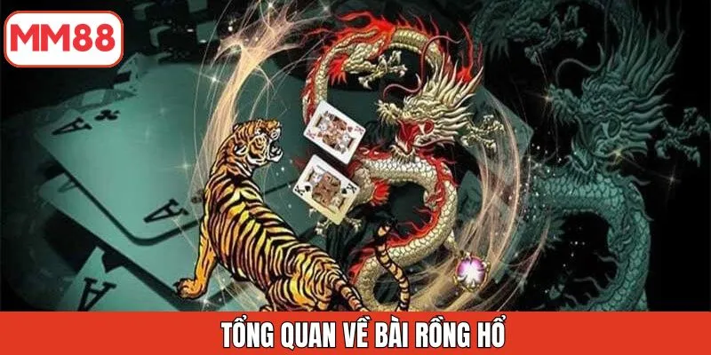 tong-quan-ve-game-bai-rong-ho