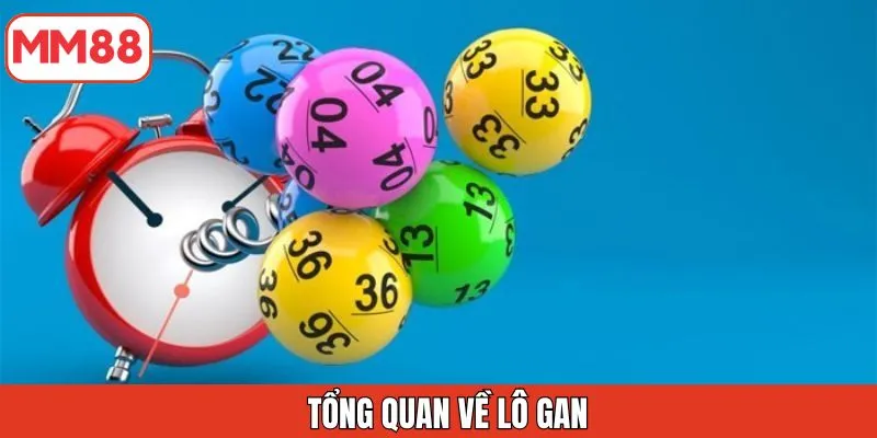 tong-quan-ve-lo-gan