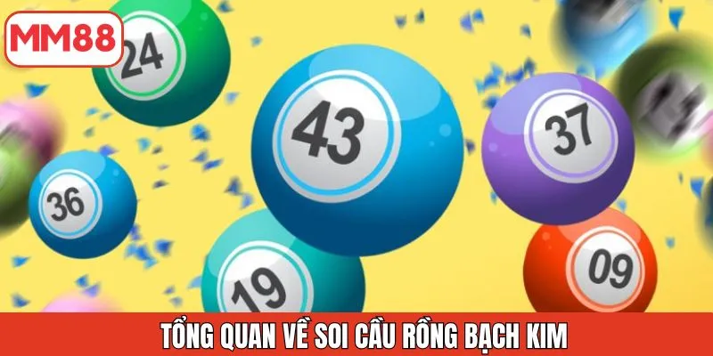 tong-quan-ve-soi-cau-rong-bach-kim
