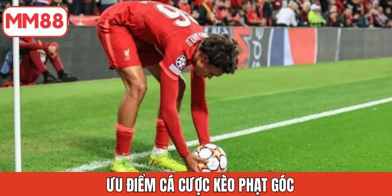 uu-diem-ca-cuoc-keo-phat-goc